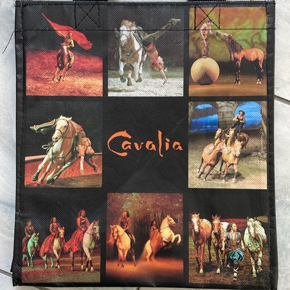 Small Cavalia 10” shopping tote bag horses Odysseo - Picture 2 of 3